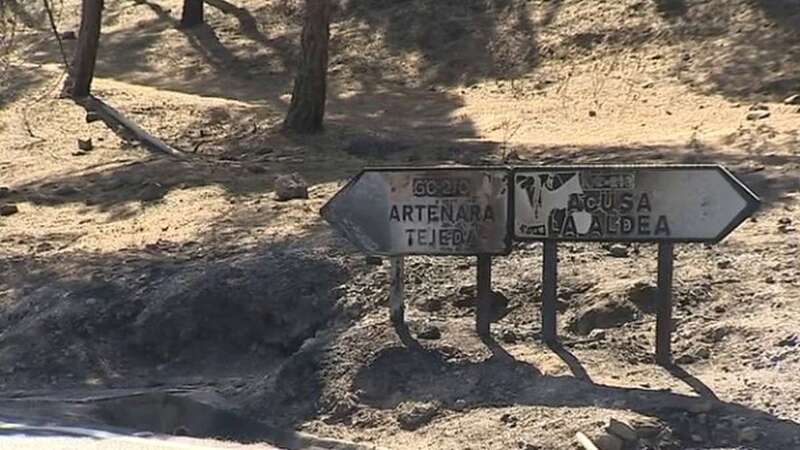Zona afectada por el último incendio de Gran Canaria (Foto TA)
